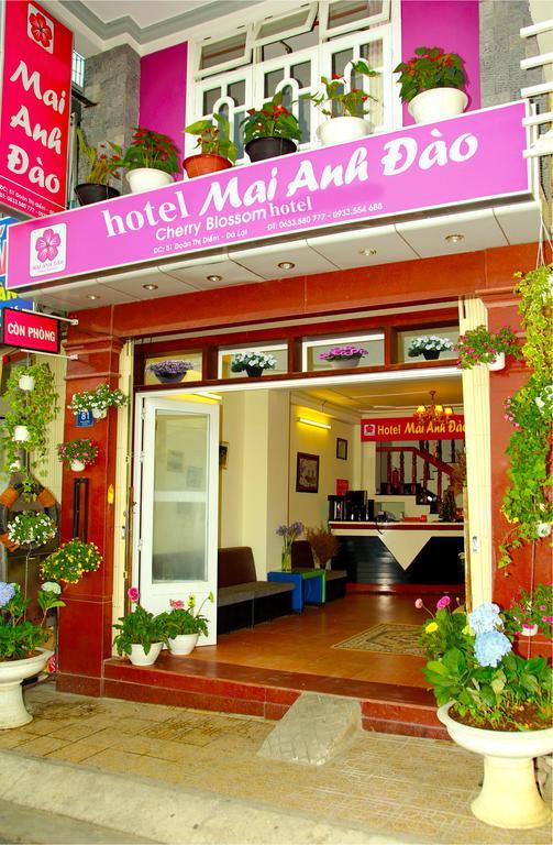 Mai Anh Dao Hotel 大叻 外观 照片