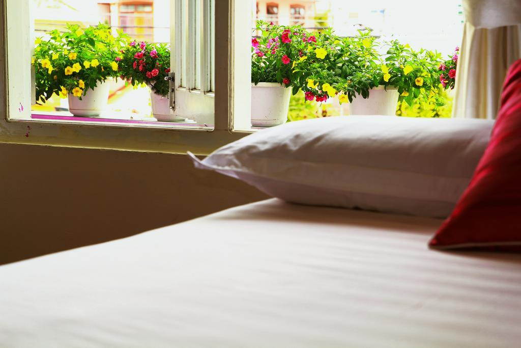 Mai Anh Dao Hotel 大叻 客房 照片