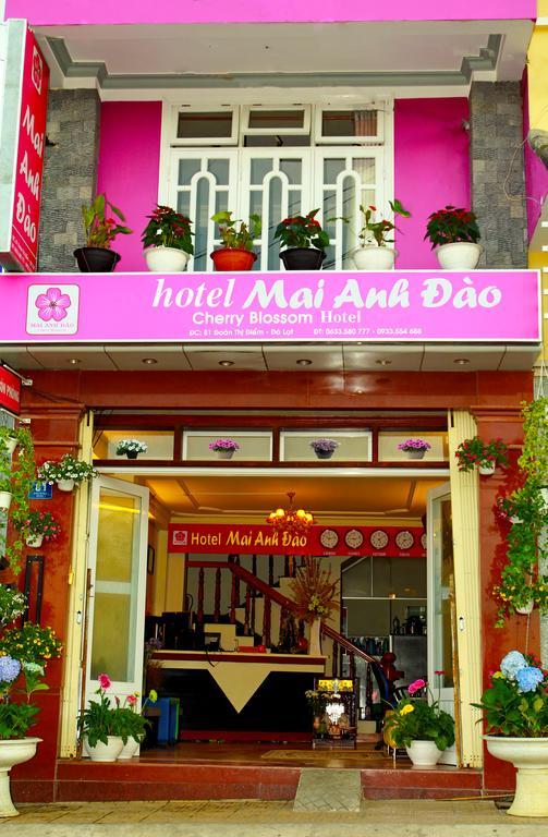 Mai Anh Dao Hotel 大叻 客房 照片